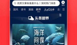 今日头条新闻爆料热线官网下载,揭秘爆料神器，助力新闻监督